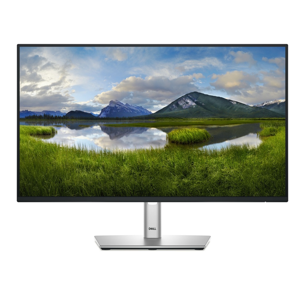 Dell P2425H - ecran 24 pouces Full HD IPS 100 Hz, reglable en hauteur (HDMI, DisplayPort)