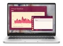 Dell Pro PC14250